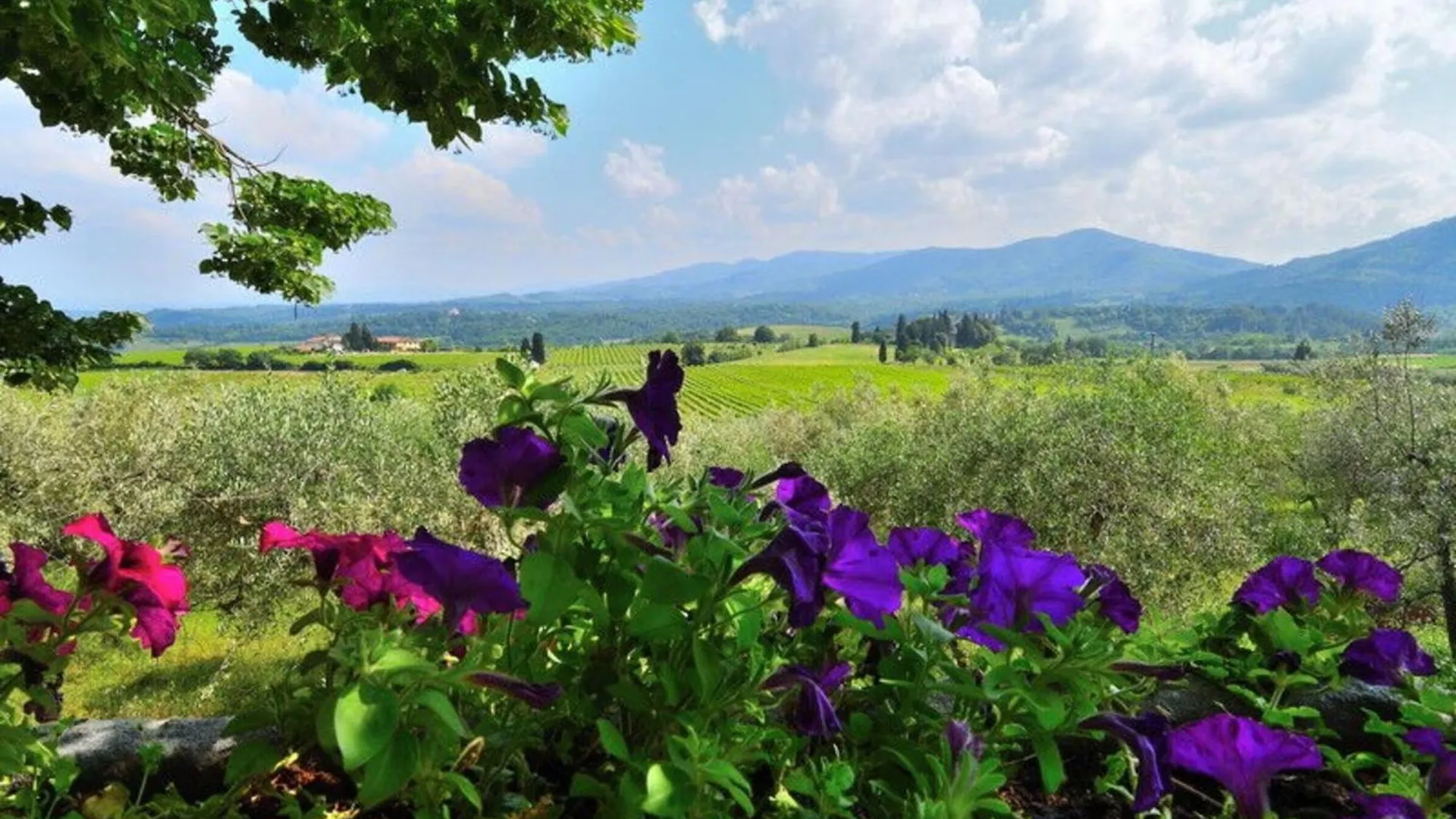 Villa Del Mosaico Rignano Sull Arno
